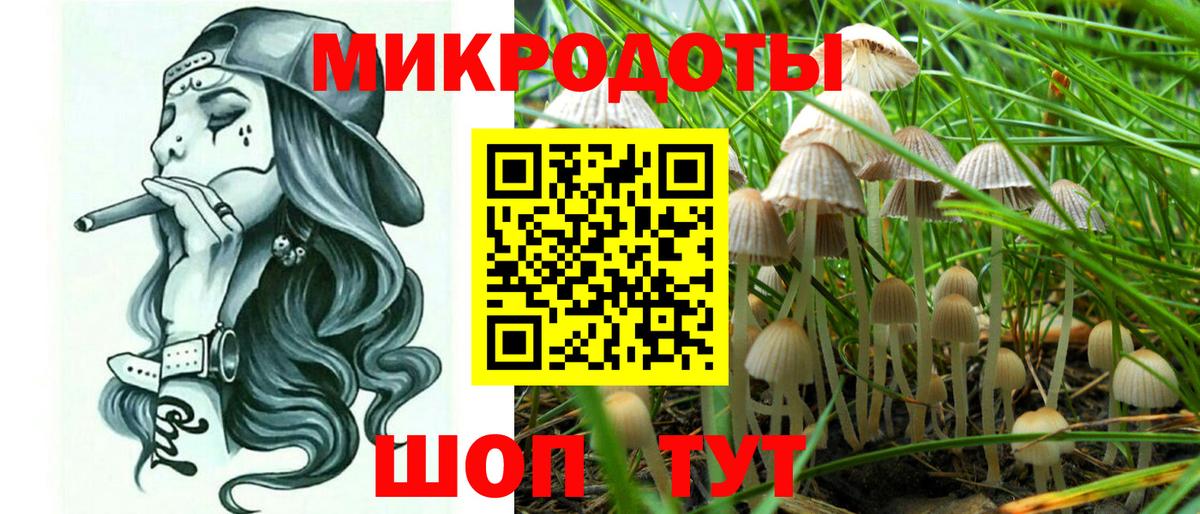 Галлюциногенные грибы Psilocybine cubensis Астрахань
