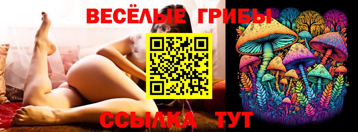 Псилоцибиновые грибы GOLDEN TEACHER  Галлюциногенные грибы мицелий  Вход с VPN  где найти наркотики  Астрахань 